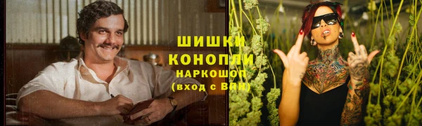 PSILOCYBIN Богородск