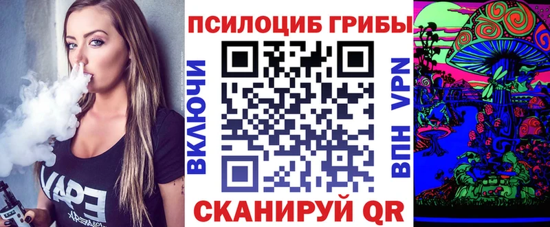 Псилоцибиновые грибы Psilocybine cubensis  сколько стоит  Бикин 
